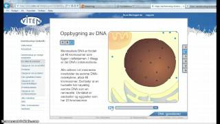 Ny DNA og proteinsyntesen [upl. by Aruon335]