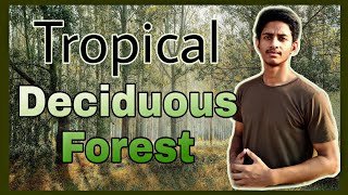 Tropical Deciduous Forests in hindi  forest in hindi  deciduous forest geography [upl. by Gula591]