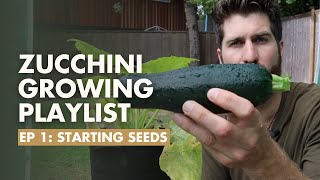 Ep1 How to start Zucchini seeds indoors  Zucchini Growing Guide [upl. by Eerac]