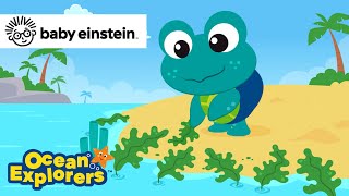 New Foods with a Sea Turtle  Ocean Explorers Song Compilation  Baby Einstein  Kids Cartoons [upl. by Anneirb]