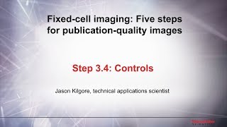 34 Controls–Fixed cell imaging 5 steps for publicationquality images [upl. by Alamaj]