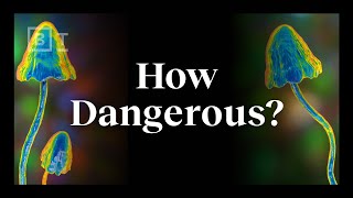 The real risks of psychedelics explained by an expert  Dr Matthew Johnson [upl. by Amar]