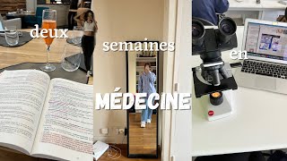 STUDY VLOG  deux semaines en médecine [upl. by Julee]