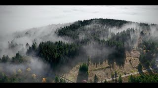 Dron view nature autumn 2024 [upl. by Asp536]