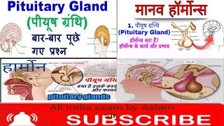 पीयूष ग्रंथि  मास्टर ग्रंथिpituitary gland By All India exam by Aslam sir subscribe channel [upl. by Linoel]