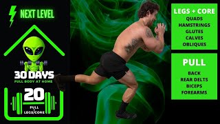 Pull Legs Core Home Dumbbell Workout  30 Days of Full Body Training At Home With Dumbbells  Day 20 [upl. by Ethel838]