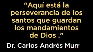 Apocalipsis 1412 “Aquí está la perseverancia de los santos que guardan los mandamientos de Dios” [upl. by Godwin]