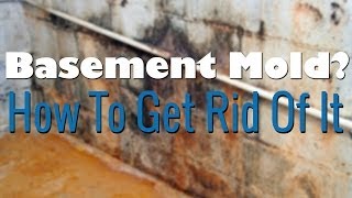 Basement Mold Removal  How To Remove Mold [upl. by Llenra]