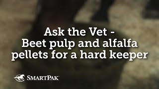 Ask the Vet  Beet pulp and alfalfa pellets for a hard keeper [upl. by Aelc888]