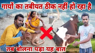 गायों का तबीयत ठीक नहीं हो रहा है  dailyvlogs vlogsvideo gopiarchnavlogs [upl. by Eelyr]