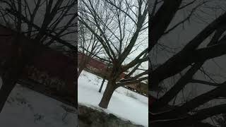 potsdam ny YouTube this is my own video the background sound is in the radio in the truck duh [upl. by Anasiul]