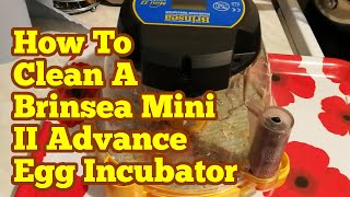 How To Clean An Egg Incubator  Brinsea Mini II Advance Egg Incubator [upl. by Enigroeg]