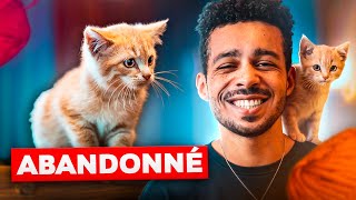 JAI RECUEILLI UN PETIT CHATON Il est trop mignon [upl. by Alicia]