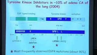 Cancer Biology and Cancer Medicine [upl. by Edan]