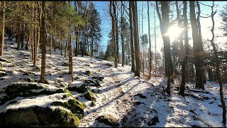 Winterwanderung BAYERISCHER WALD  Wandern am Dreitannenriegel  Hausberg von Deggendorf [upl. by Siwel]