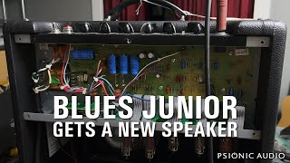 Blues Junior Gets a New Speaker [upl. by Hna]