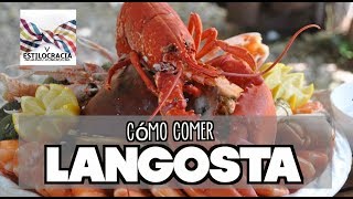 La forma CORRECTA de COMER LANGOSTA🦐 [upl. by Jacky]