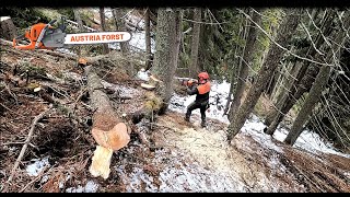 Rückhänger Holzfällen mit Tr 24 Forstreich Schlagschrauber Keil [upl. by Allen]