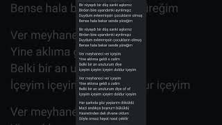 Ferman AkdenizMeyhaneci Karaoke [upl. by Darb]