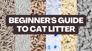 What TYPE of Cat Litter Should You Buy  Beginners Guide [upl. by Hospers976]