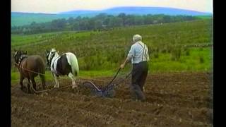 Ploughing with Horses Farming the old way in Ireland [upl. by Allbee713]