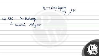 Carbonic anhydrase occurs in [upl. by Sower]