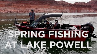 Spring Fishing and New Lund Boat Unveiled at Lake Powell [upl. by Oluap838]