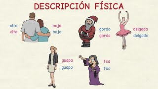 Aprender español Vocabulario descripción física nivel básico [upl. by Gard868]