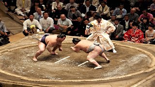 Nagoya Basho 2024 day 11 LIVE SUMO ENGLISH COMENTARY Sunday Morning Sumo Show [upl. by Anagrom552]