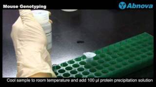 Mouse Genotyping [upl. by Orvil]