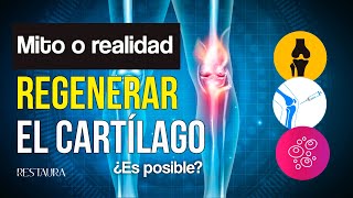 Cómo ¿Regenerar el cartílago [upl. by Arrol]