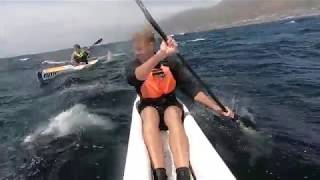 Millers Run downwind Surfski Paddle  Cape Town South Africa [upl. by Eilra977]