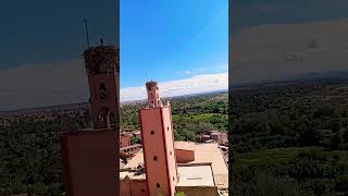 Ouarzazate tifoultot [upl. by Tobi]