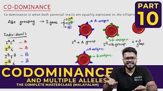 Mastering CODOMINANCE and MULTIPLE ALLELES  Principles of Inheritance and Variations  CLASS 10 [upl. by Floss169]