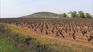 Saint Lager  Le Mont Brouilly  Rhône [upl. by Repsac]