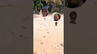 HILARIOUS DOG CHASE shorts lol comedy jokes beach funny [upl. by Alair]