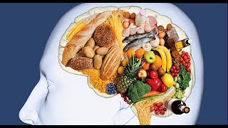 How Foods Affect your Brain Amazing BBC Documentary [upl. by Haidedej]