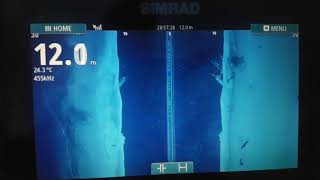 Simrad GO9 Total scan  the best one [upl. by Kelleher919]