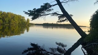 Chippewa flowage musky openerisland camping trip 2023 [upl. by Labors130]