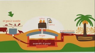 what is biogas how did it produce [upl. by Lyris]