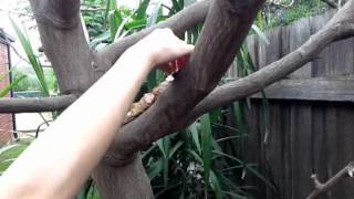 Andy Goldsworthy An inspiration in the classroom [upl. by Malinowski]