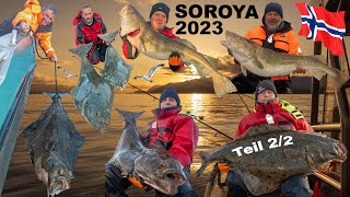 Angeln in Norwegen 2023  Extremes Soroya Teil 22 [upl. by Humberto]