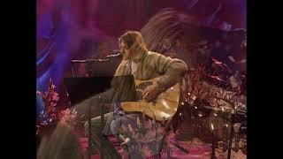 Nirvana  Pennyroyal Tea MTV Unplugged 1993 Audio Only Standard Tuning [upl. by Retsbew]