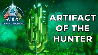 How to Find the Artifact of the Clever  The Island Ark Survival Ascended 2024 [upl. by Jamnes]