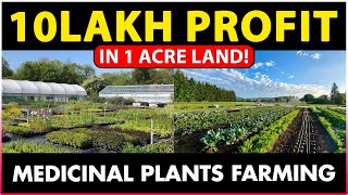 Medicinal Plants Farming Importance Benefits amp Key Considerations  Discover Agriculture [upl. by Lebatsirhc]