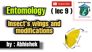 Insects Wings and its modifications  Wing coupling  Wing venation  Entomology goforagriculture [upl. by Iliram]