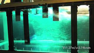 Marine Renewable Energy VIVACE video I [upl. by Yoho747]