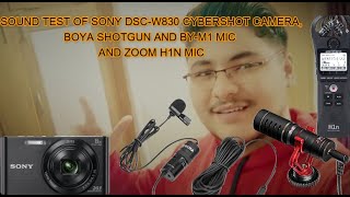 SOUND TEST OF SONY DSCW830 CYBERSHOT CAMERABOYA SHOTGUN AND BYM1 MIC AND ZOOM H1N MIC SOUNDTEST [upl. by Florette]