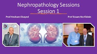 Nephropathology session one 1920x1080 [upl. by Gunnar449]