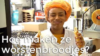 Hoe worden worstenbroodjes gemaakt  Vragen van Kinderen [upl. by Yllac]